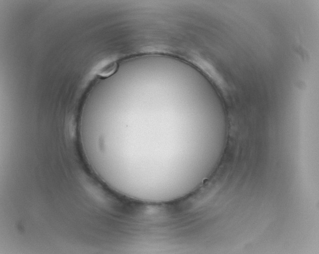 X0000115600060200911241603