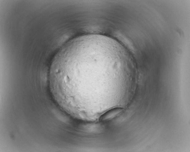 X0000115600065200911241603