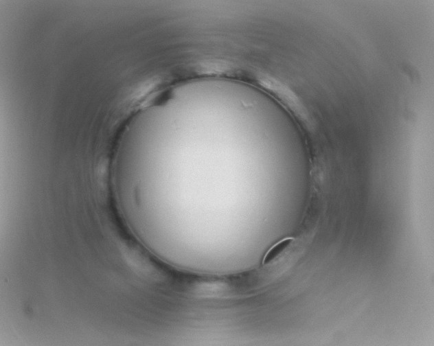 X0000115600066200911241603