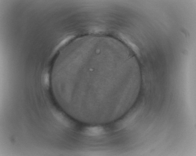 X0000115600067200911241603