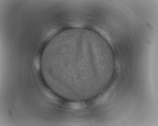 X0000115600069200911241604