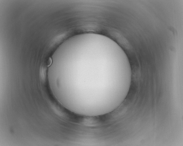 X0000115600070200911241604