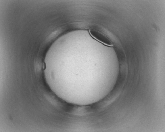 X0000115600072200911241604