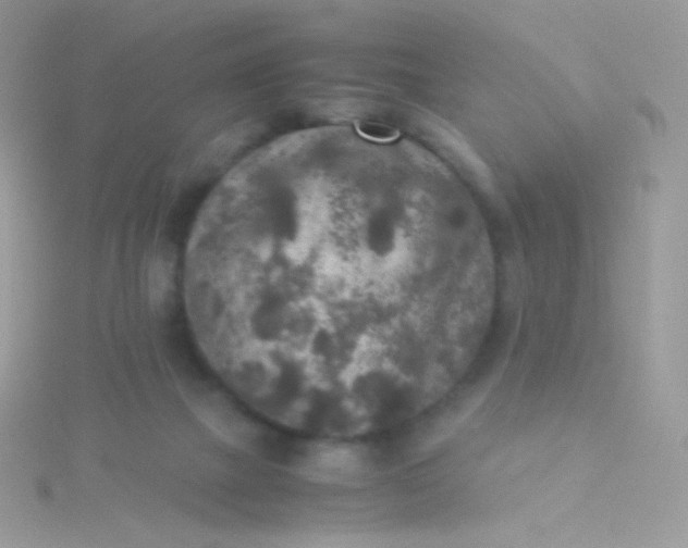 X0000115600073200911241604