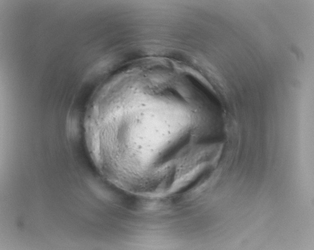 X0000115600074200911241604