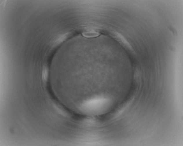 X0000115600076200911241604