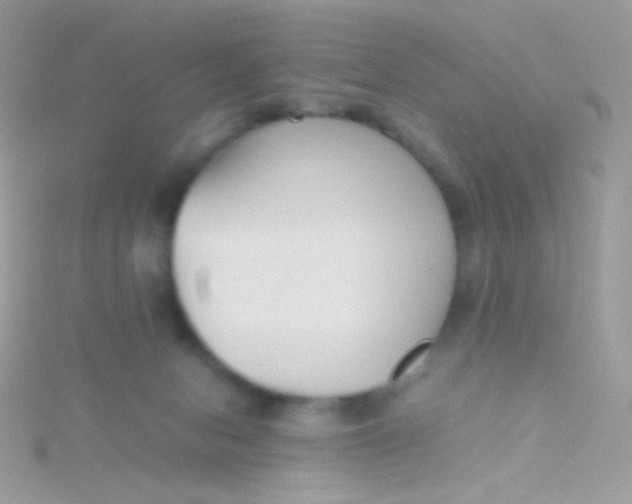 X0000115600078200911241604