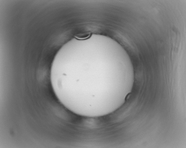 X0000115600079200911241604