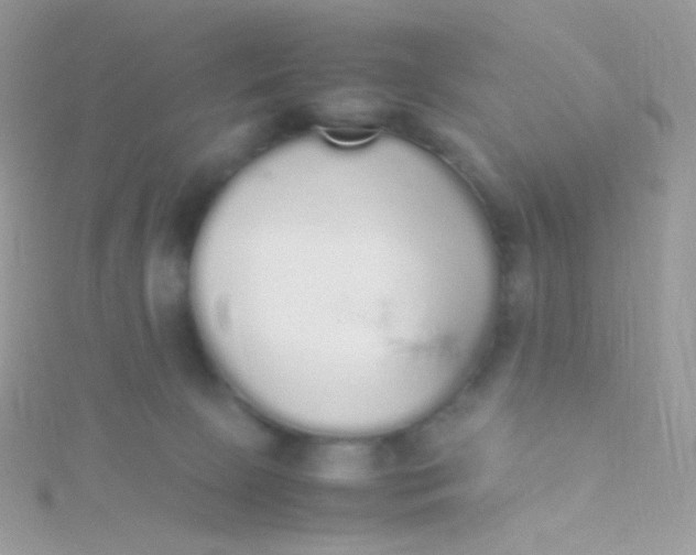 X0000115600081200911241604