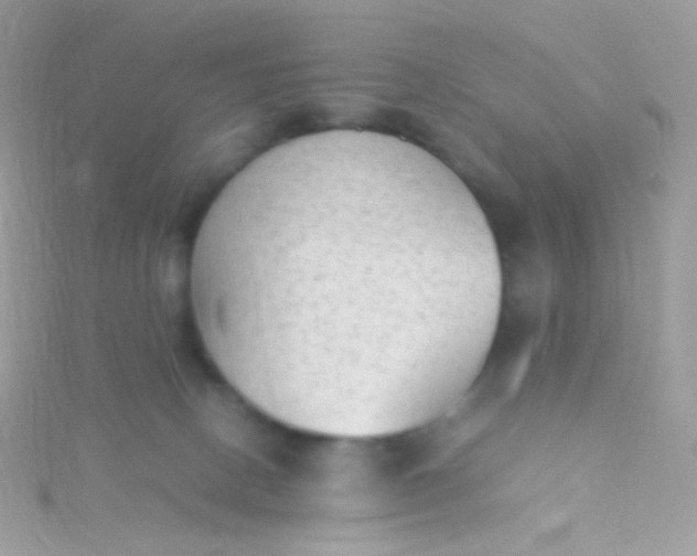 X0000115600082200911241604