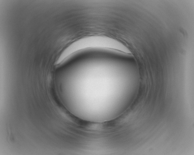 X0000115600084200911241604