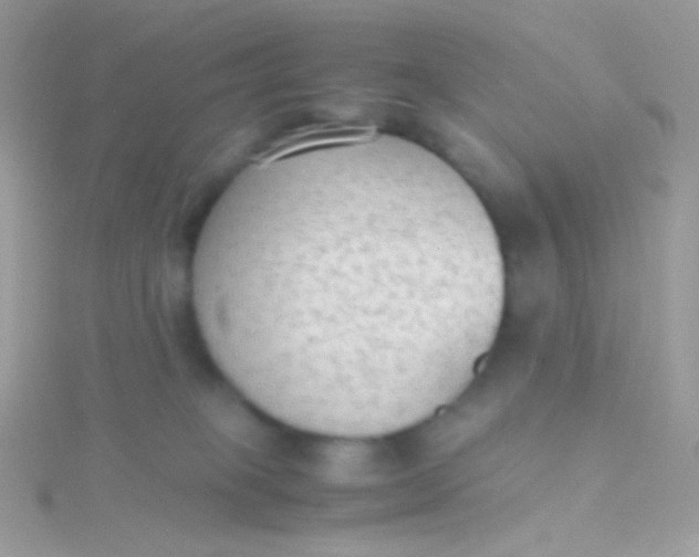 X0000115600085200911241604