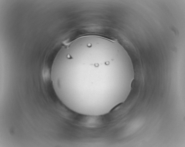 X0000115600089200911241604