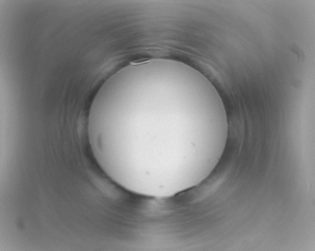 X0000115600092200911241604