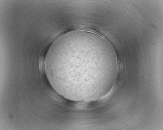 X0000115600094200911241604