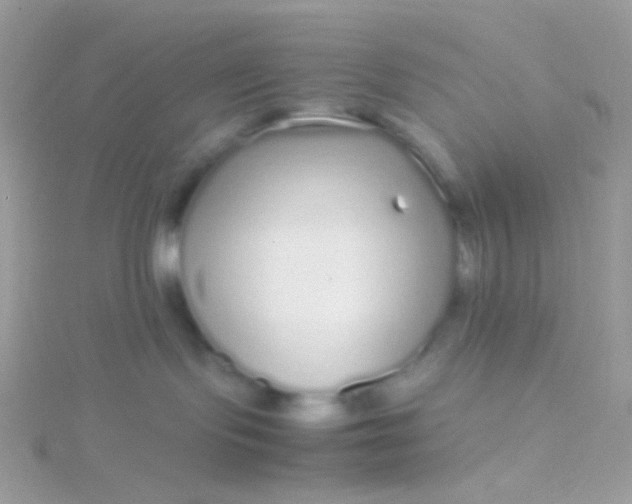 X0000115600095200911241604