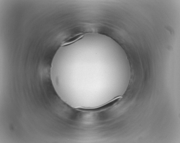 X0000115600096200911241604