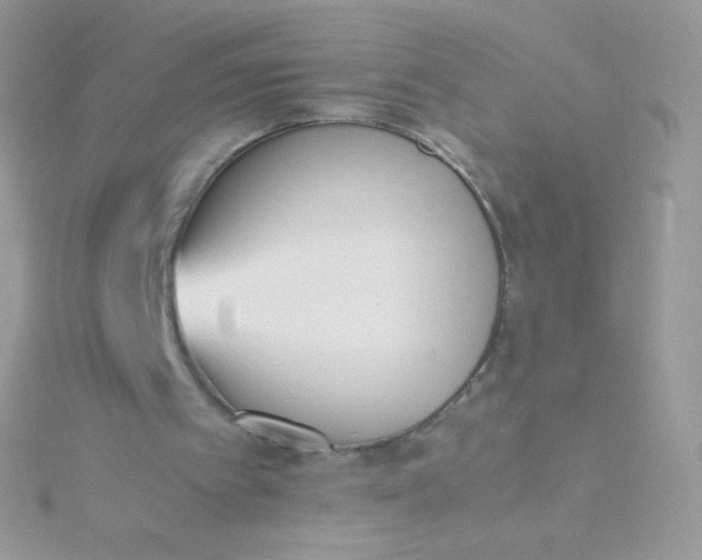 X0000115600097200911241603