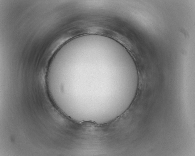 X0000115600098200911241603