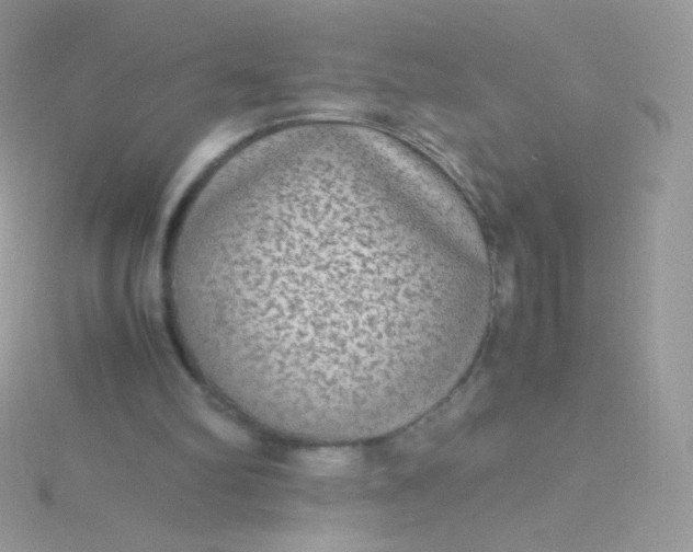 X0000115600102200911241603