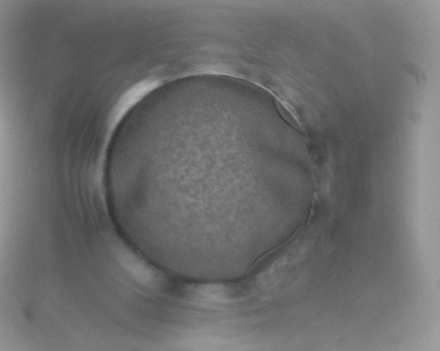 X0000115600104200911241603