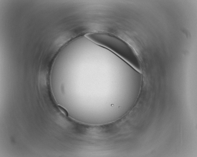 X0000115600105200911241603