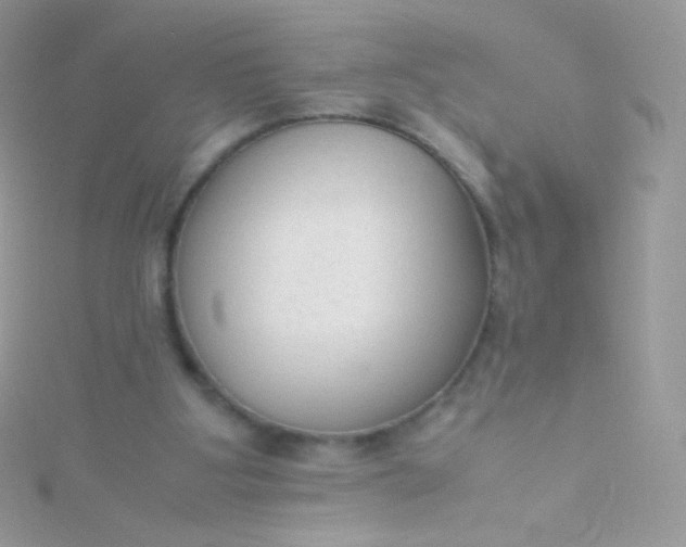 X0000115600107200911241603