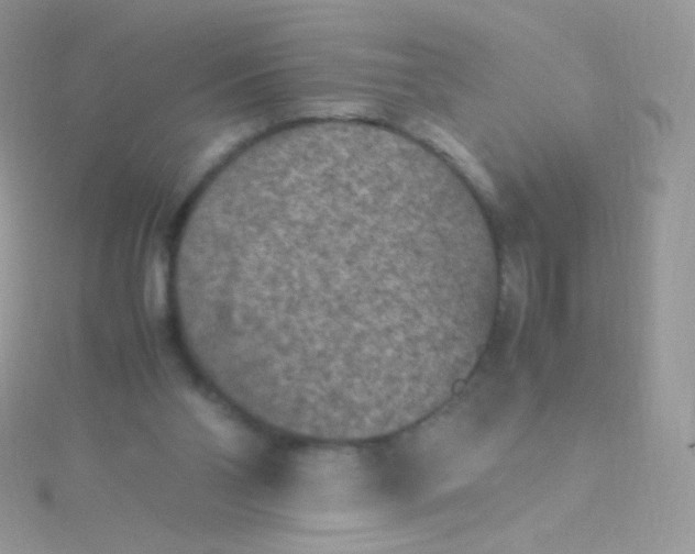 X0000115600110200911241603