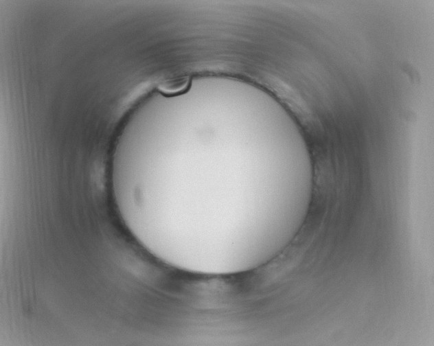 X0000115600112200911241603