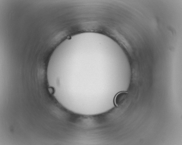 X0000115600113200911241603