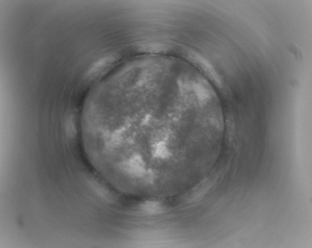 X0000115600114200911241603