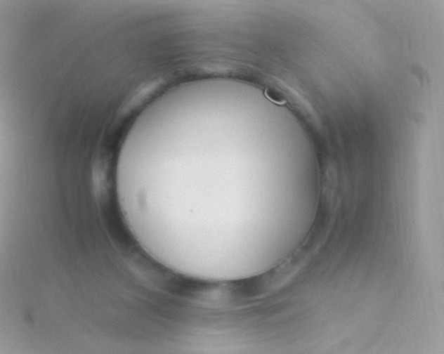 X0000115600116200911241603