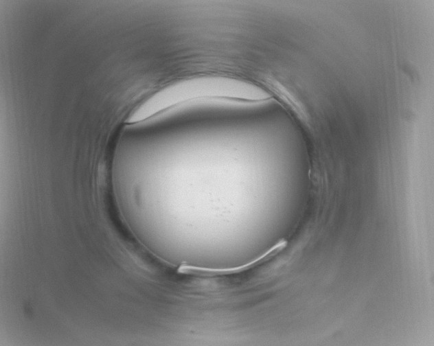 X0000115600117200911241603