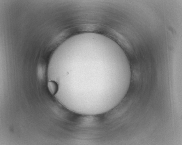 X0000115600118200911241603