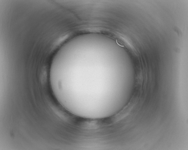 X0000115600120200911241603