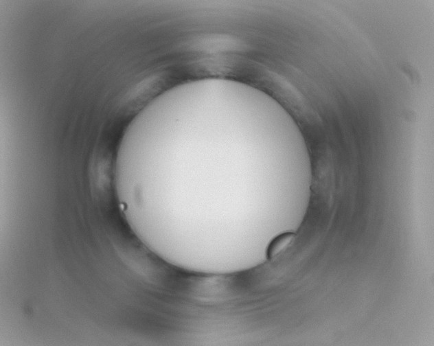 X0000115600122200911241603