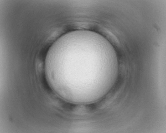 X0000115600123200911241603