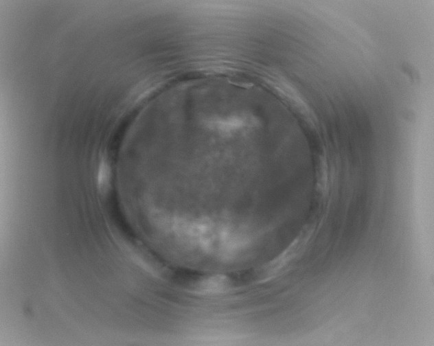 X0000115600124200911241603