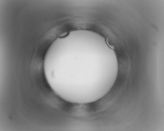 X0000115600125200911241603