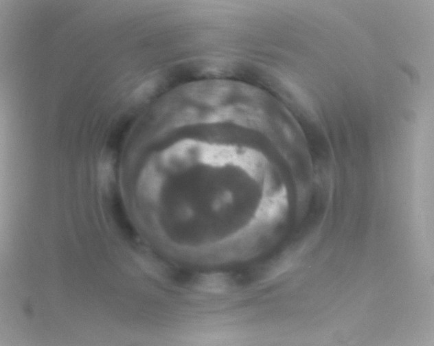 X0000115600127200911241603