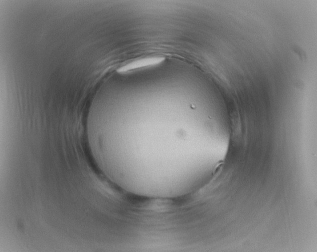 X0000115600128200911241603