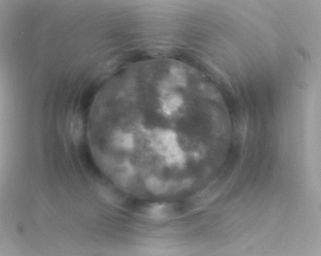 X0000115600130200911241603