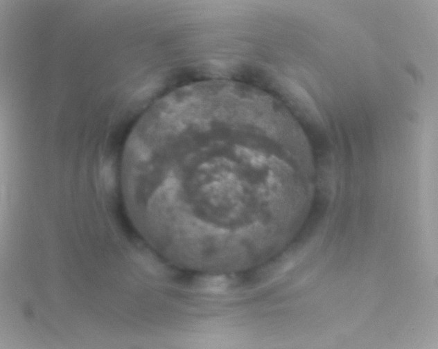 X0000115600131200911241603