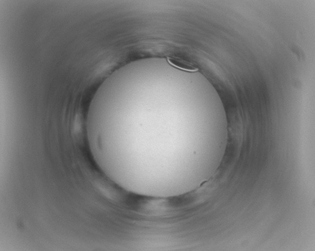 X0000115600132200911241603