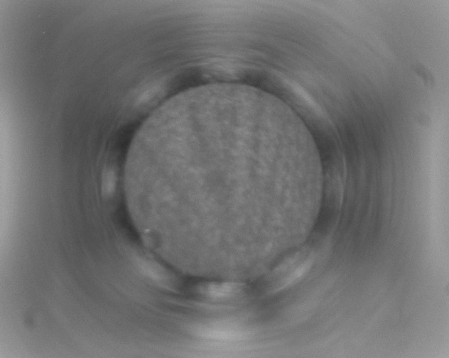 X0000115600134200911241603