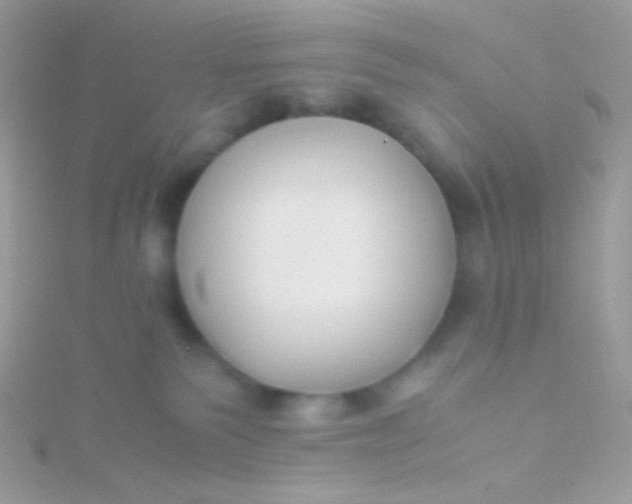 X0000115600135200911241603