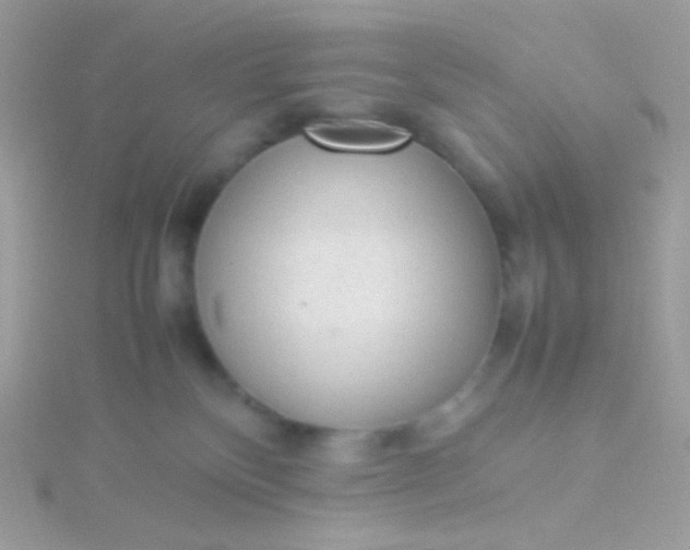 X0000115600136200911241603