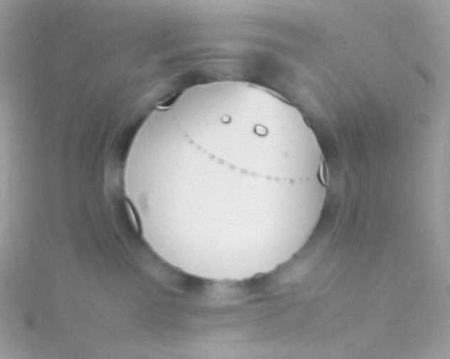 X0000115600141200911241603