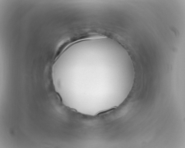 X0000115600144200911241603