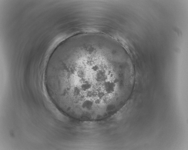 X0000115600145200911241602